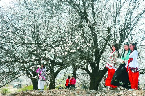 凯利指数走势图